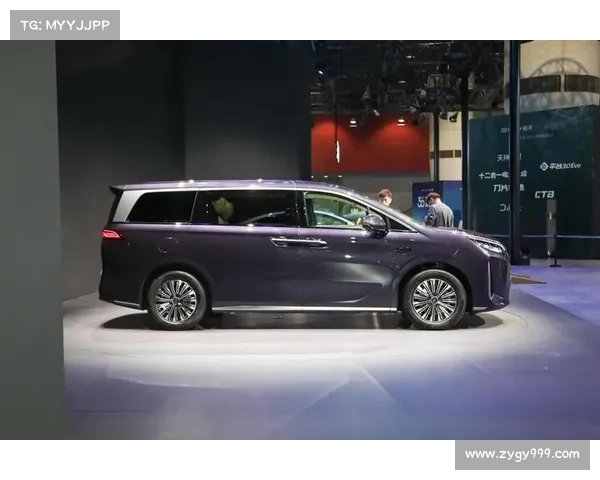 买不起30多万的赛那?这些MPV只需10万块! 买不起30多万的赛那?这些MPV只需10万块!